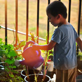 Epirus Nature School Ιωάννινα Διατροφή