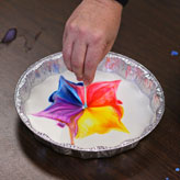 Epirus Nature School Ιωάννινα Διατροφή